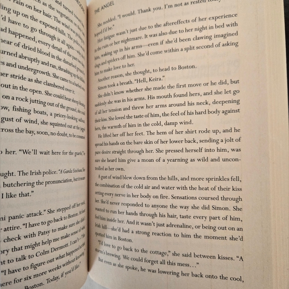 The Angel - Picture 2 of 7